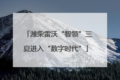 潍柴雷沃“智领”三夏进入“数字时代”