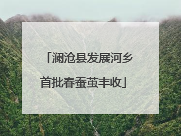 澜沧县发展河乡首批春蚕茧丰收