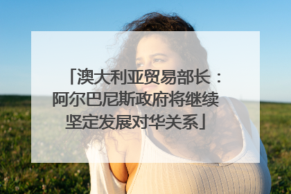 澳大利亚贸易部长：阿尔巴尼斯政府将继续坚定发展对华关系