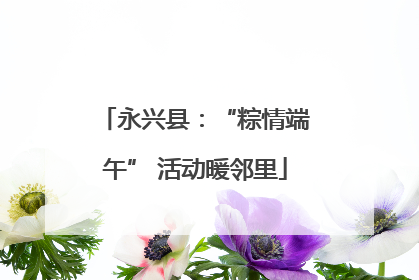 永兴县：“粽情端午” 活动暖邻里