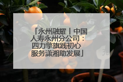 永州融耀丨中国人寿永州分公司：四力擎旗践初心 服务潇湘助发展