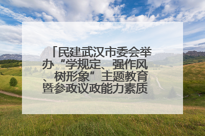 民建武汉市委会举办“学规定、强作风、树形象”主题教育暨参政议政能力素质提升培训班