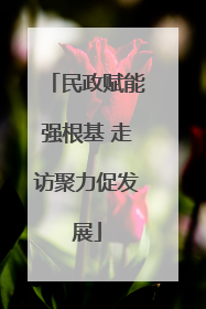 民政赋能强根基 走访聚力促发展