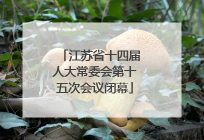 江苏省十四届人大常委会第十五次会议闭幕