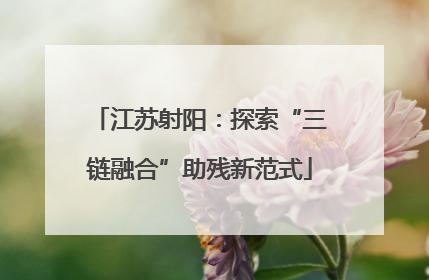 江苏射阳：探索“三链融合”助残新范式