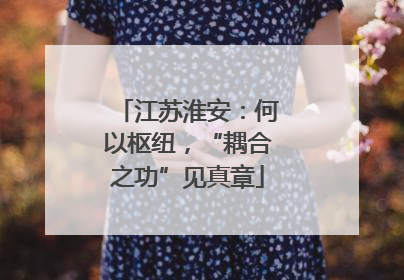 江苏淮安：何以枢纽，“耦合之功”见真章