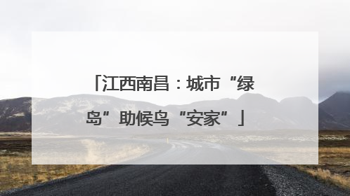 江西南昌：城市“绿岛”助候鸟“安家”