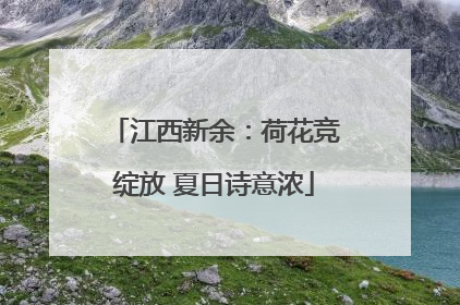 江西新余：荷花竞绽放 夏日诗意浓