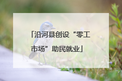 沿河县创设“零工市场”助民就业