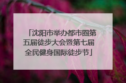 沈阳市举办都市圈第五届徒步大会暨第七届全民健身国际徒步节