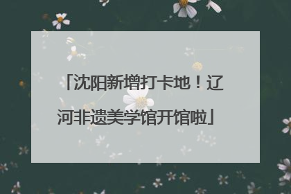 沈阳新增打卡地！辽河非遗美学馆开馆啦