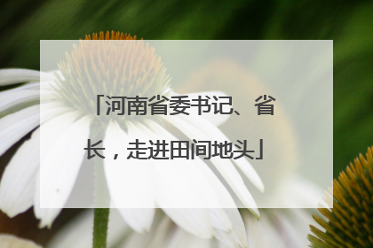 河南省委书记、省长，走进田间地头