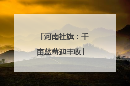 河南社旗：千亩蓝莓迎丰收