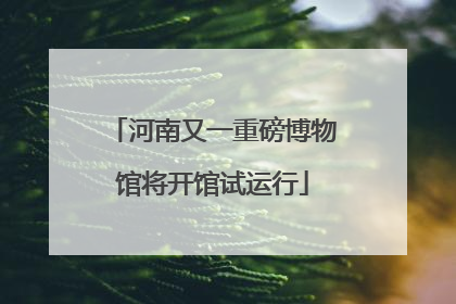 河南又一重磅博物馆将开馆试运行
