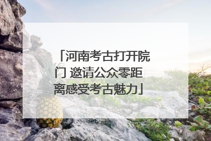 河南考古打开院门 邀请公众零距离感受考古魅力