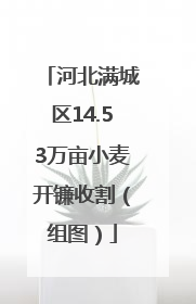 河北满城区14.53万亩小麦开镰收割（组图）
