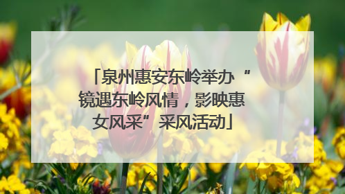 泉州惠安东岭举办“镜遇东岭风情，影映惠女风采”采风活动