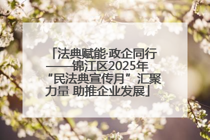 法典赋能·政企同行——锦江区2025年“民法典宣传月”汇聚力量 助推企业发展