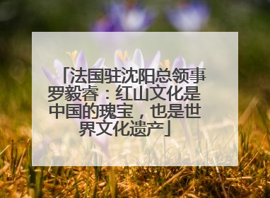 法国驻沈阳总领事罗毅睿：红山文化是中国的瑰宝，也是世界文化遗产