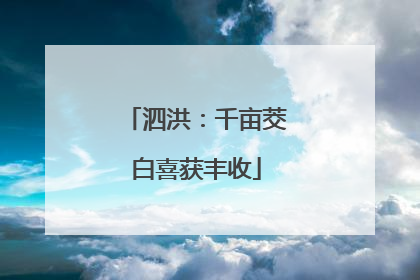 泗洪：千亩茭白喜获丰收