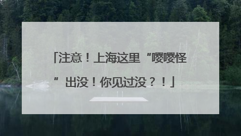 注意！上海这里“嘤嘤怪”出没！你见过没？！