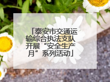 泰安市交通运输综合执法支队开展“安全生产月”系列活动