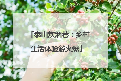 泰山炊烟巷：乡村生活体验游火爆