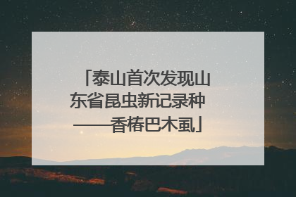 泰山首次发现山东省昆虫新记录种——香椿巴木虱