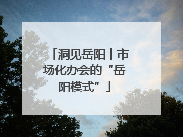 洞见岳阳丨市场化办会的“岳阳模式”