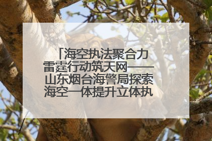 海空执法聚合力 雷霆行动筑天网——山东烟台海警局探索海空一体提升立体执法效能纪实