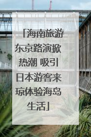 海南旅游东京路演掀热潮 吸引日本游客来琼体验海岛生活