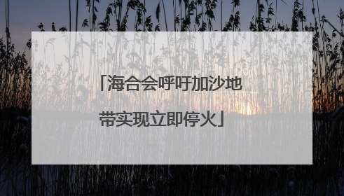 海合会呼吁加沙地带实现立即停火