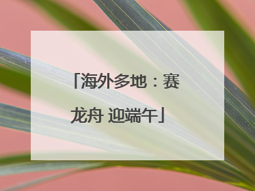 海外多地：赛龙舟 迎端午