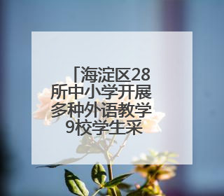 海淀区28所中小学开展多种外语教学 9校学生采用小语种参加高考