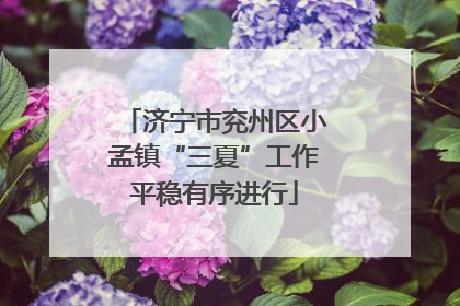 济宁市兖州区小孟镇“三夏”工作平稳有序进行