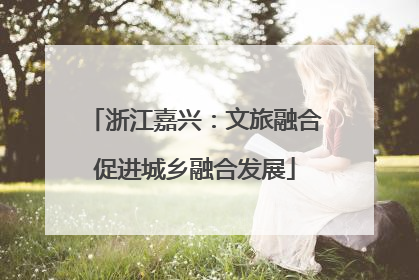 浙江嘉兴：文旅融合促进城乡融合发展