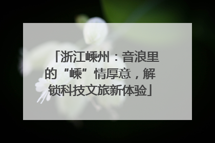 浙江嵊州：音浪里的“嵊”情厚意，解锁科技文旅新体验
