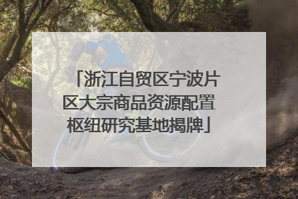 浙江自贸区宁波片区大宗商品资源配置枢纽研究基地揭牌