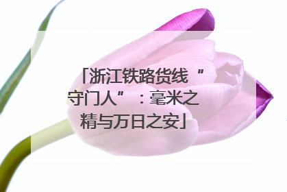 浙江铁路货线“守门人”：毫米之精与万日之安