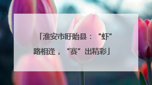 淮安市盱眙县：“虾”路相逢，“赛”出精彩