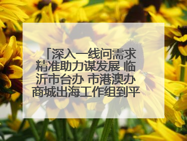 深入一线问需求 精准助力谋发展 临沂市台办 市港澳办商城出海工作组到平邑县走访调研