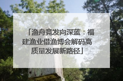 渔舟竞发向深蓝：福建渔业借渔博会解码高质量发展新路径