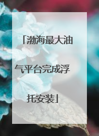 渤海最大油气平台完成浮托安装