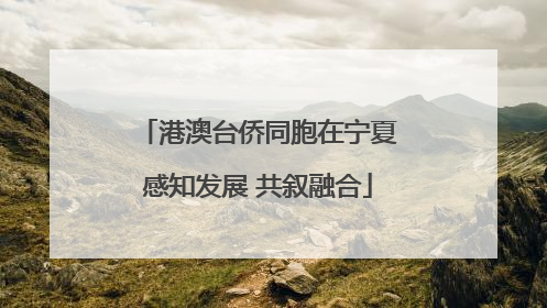 港澳台侨同胞在宁夏感知发展 共叙融合