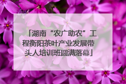 湖南“农广助农”工程衡阳茶叶产业发展带头人培训班圆满落幕