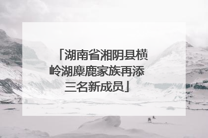 湖南省湘阴县横岭湖麋鹿家族再添三名新成员