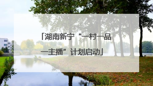 湖南新宁“一村一品一主播”计划启动