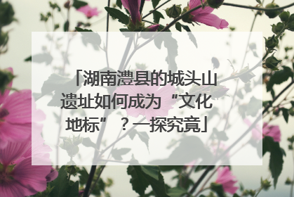 湖南澧县的城头山遗址如何成为“文化地标”？一探究竟