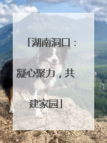 湖南洞口：凝心聚力，共建家园
