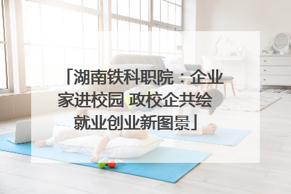 湖南铁科职院：企业家进校园 政校企共绘就业创业新图景